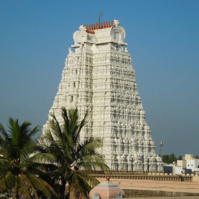 adobe express file (8)